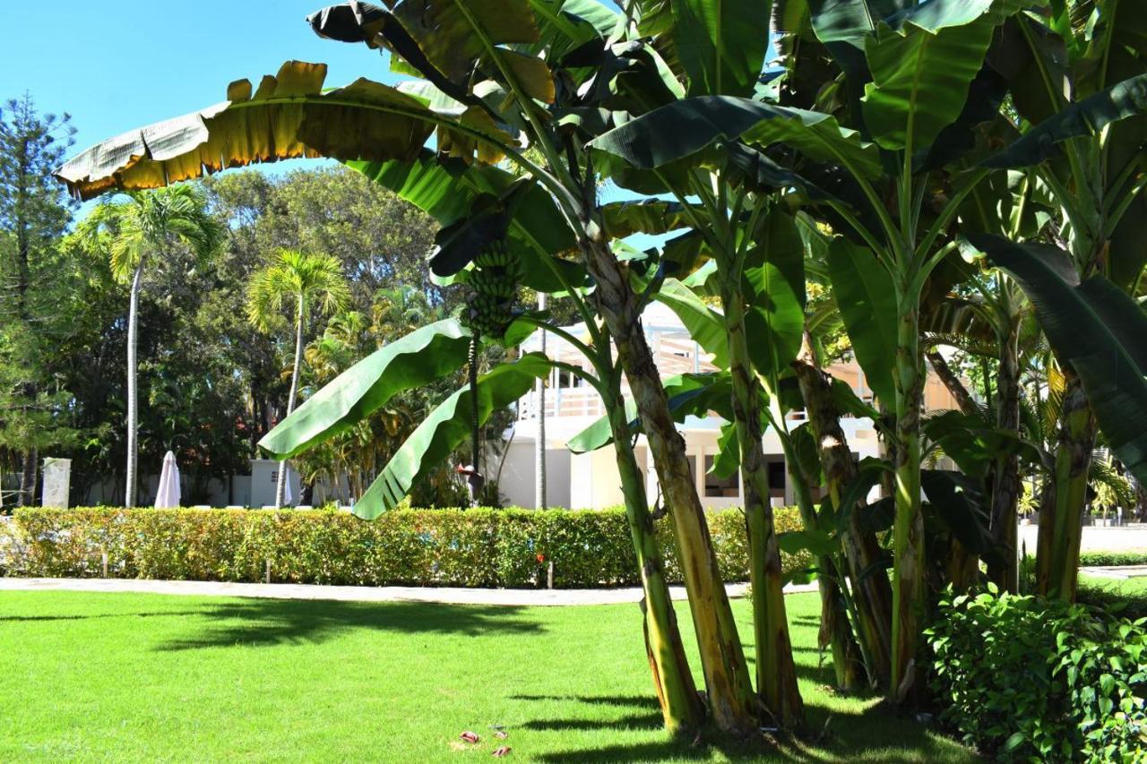Tropical Casa Laguna Cabarete Extérieur photo